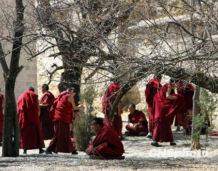 拉萨哲蚌寺僧人3月13日下午在该寺郭芒扎仓辩经场正常进行辩经